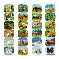 Kids World Fotóprojektor + zseblámpa Afrika