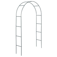 Garden King Pergola pentru trandafiri 140 x 240 x 38 cm