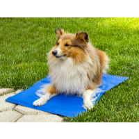 ProPet Hűsítő matrac kutyáknak és macskáknak  50 x 40 cm