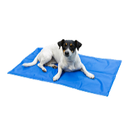 ProPet Hűsítő matrac kutyáknak és macskáknak 81 x 96 cm