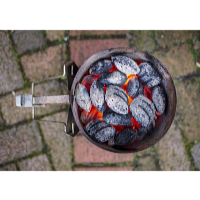 Garden King Coș pentru aprindere grătar PR-004