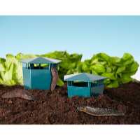 Garden King Csigacsapda – szögletes HD5005 2 db