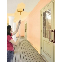 Profi Tools Rolă de vopsit