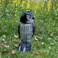 Garden King SONIC 3in1 madárriasztó