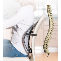 Wellife Suport ergonomic pentru spate 41 x 38 cm