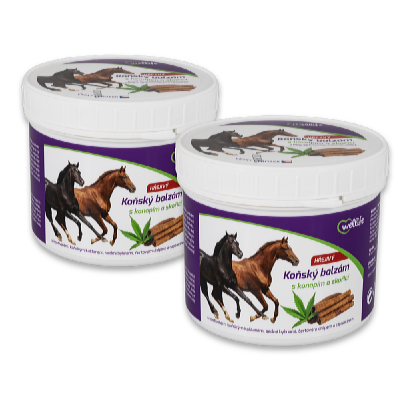 Wellife Balsam de cal cu cânepă și scorțișoară 500 ml set 2 buc