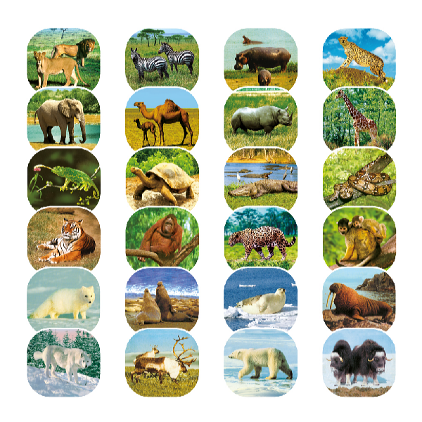 Kids World Fotóprojektor + zseblámpa Afrika