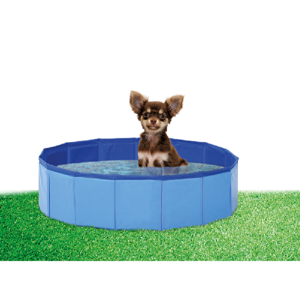 ProPet Medence kutyáknak 80 x 20 cm