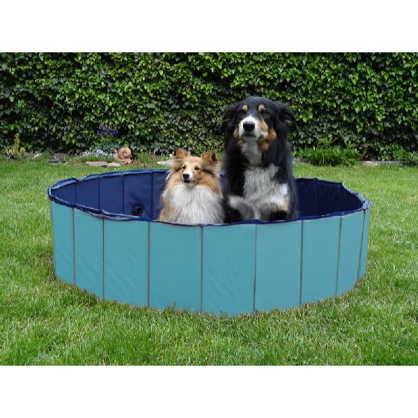 ProPet Medence kutyáknak 120 x 30 cm