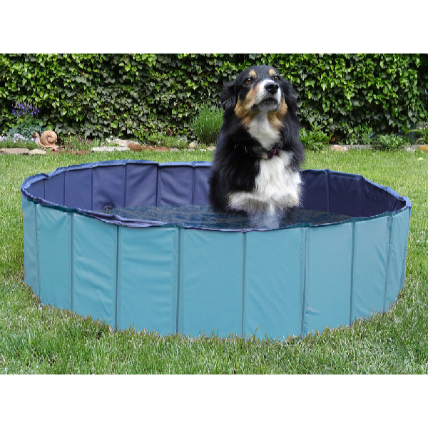 ProPet Medence kutyáknak 120 x 30 cm