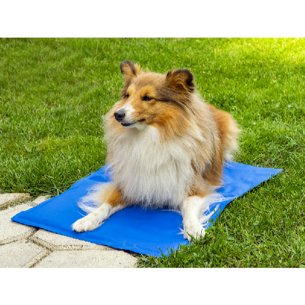 ProPet Hűsítő matrac kutyáknak és macskáknak  50 x 40 cm