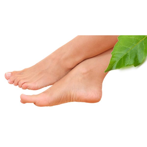 Wellife Plasturi pentru detoxifiere 10 buc