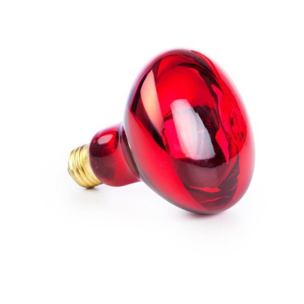 Wellife Lampă infraroșu R95