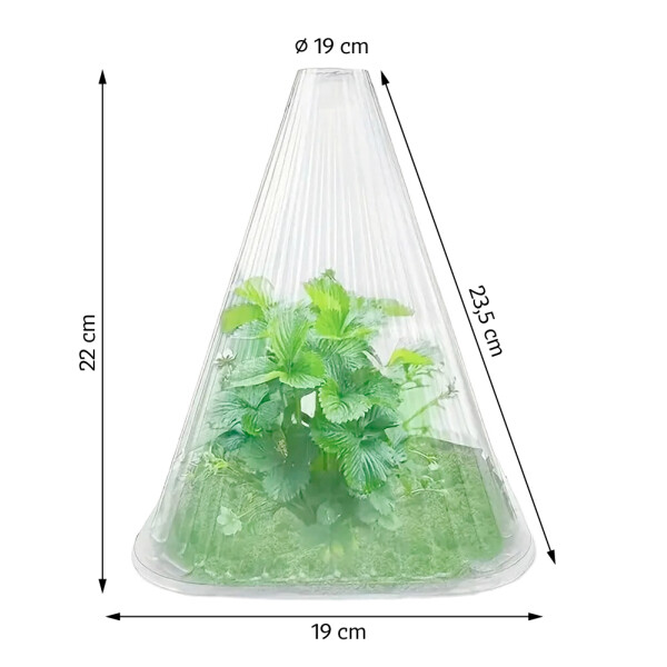 Garden King Con protecți pentru plante 10 buc
