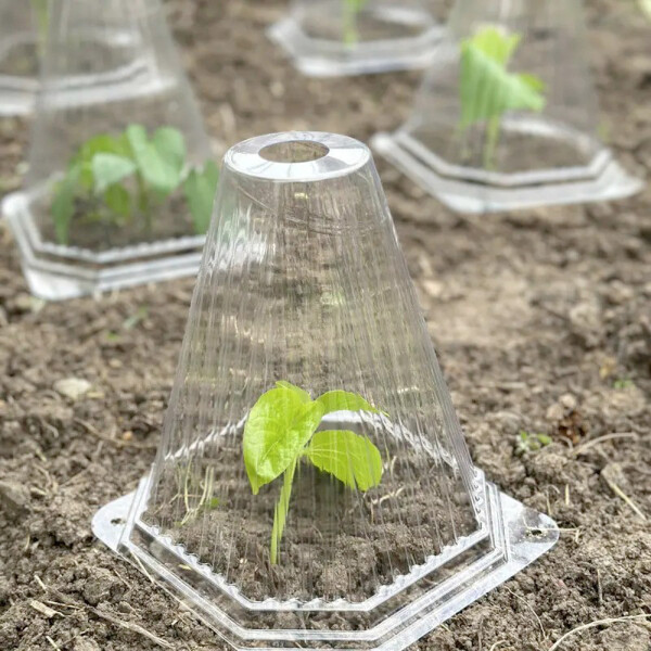Garden King Con protecți pentru plante 10 buc