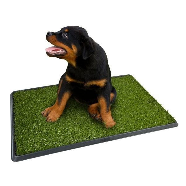 ProPet Toaletă pentru câini - mare