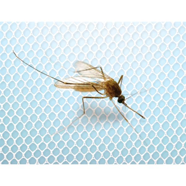 HomeLife Szúnyogháló ablakra 130x150cm, fehér